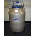 Taylor-Wharton泰莱华顿 LS系列液氮罐（LS6000）
