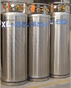 Taylor-Wharton泰莱华顿 XL系列液氮罐（XL-55）