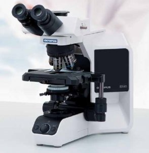 OLYMPUS奥林巴斯显微镜BX43